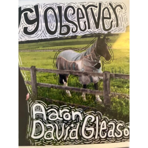 3 For $6 Aaron David Gleason : Wry Observer (CD, 2017) Music Sputnik Sound - Picture 2 of 4